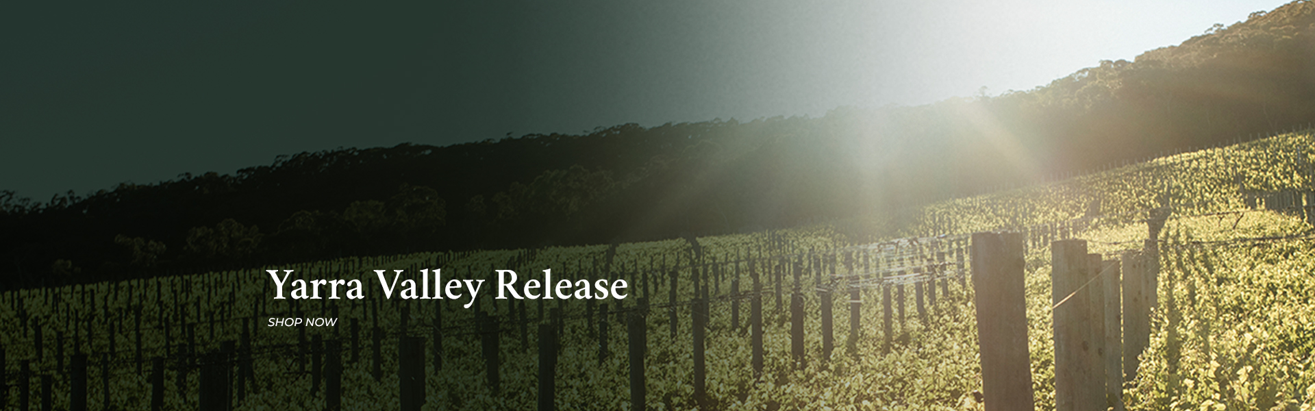 Yarra Valley Release 2025