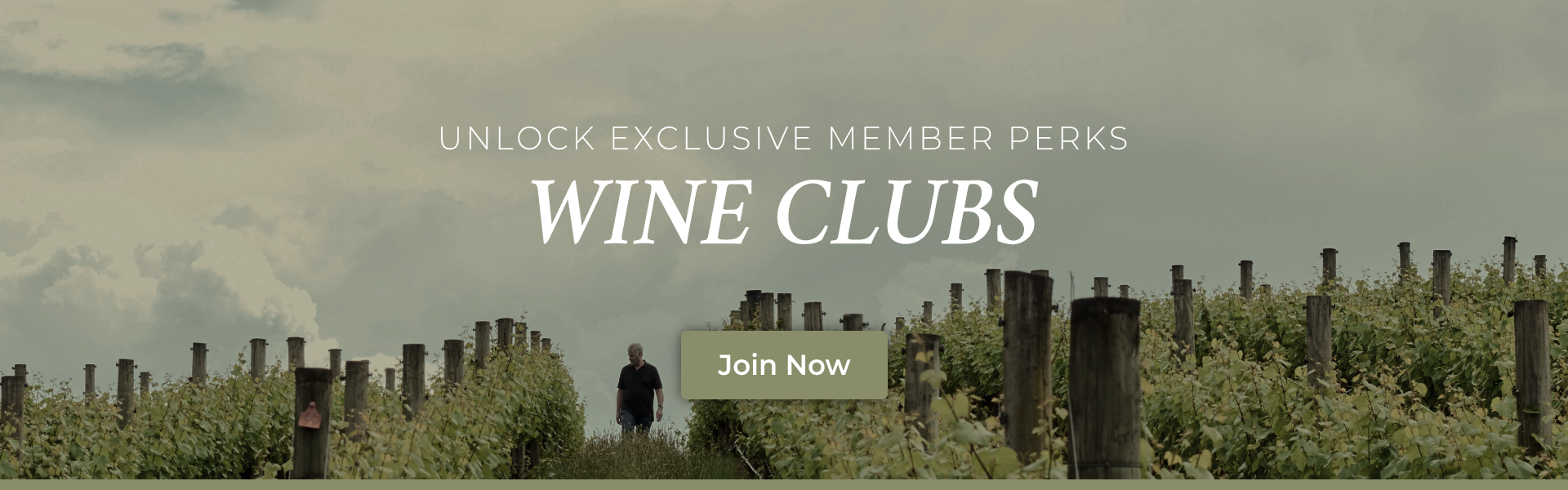Join the Wine Club to unlock exclusive memebr perks